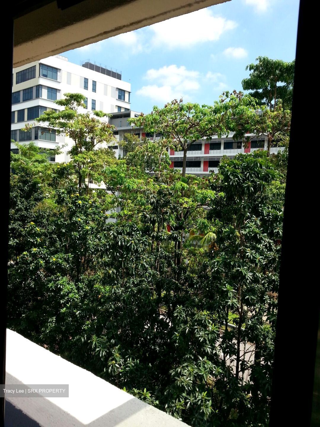 Toa Payoh North (Toa Payoh), HDB 2 Rooms #436853901
